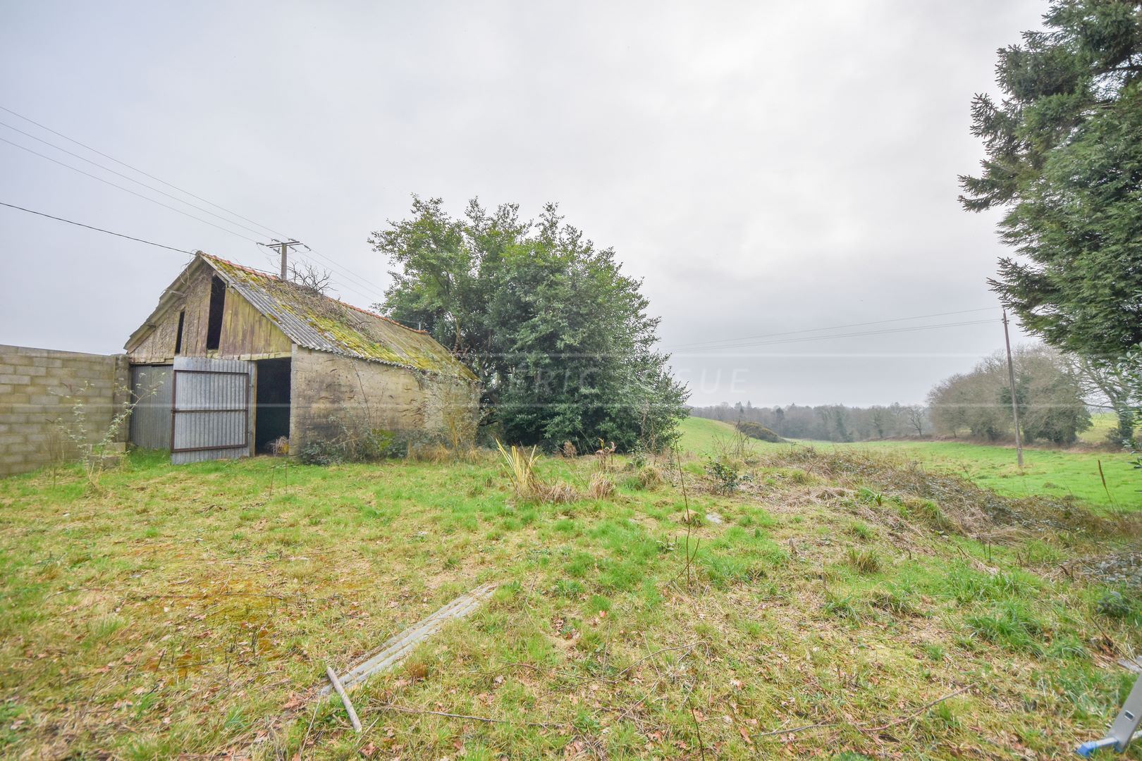 LONGERE ENTIEREMENT A RENOVER - BELLE CONSTRUCTION - CADRE VERDOYANT ET CALME - GRAND TERRAIN photo 2